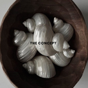 shells in a bowl 